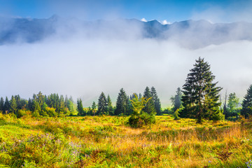 Foggy summer morning in the Triglav national park