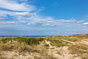 Strand in Tisvildeleje - Dänemark 9