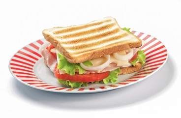 Grilled sandwich on white background