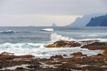 Coast of Punta del Hidalgo. Tenerife