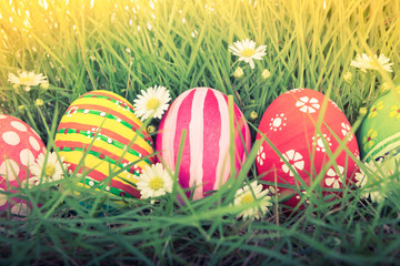 Easter Eggs with flower on Fresh Green Grass ( Filtered image pr