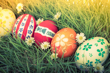 Easter Eggs with flower on Fresh Green Grass ( Filtered image pr