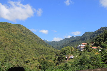 Guadeloupe - Janv 2015 - Domaine de la Grivelière