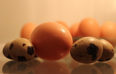 Fresh chicken and quail eggs ready to cook.