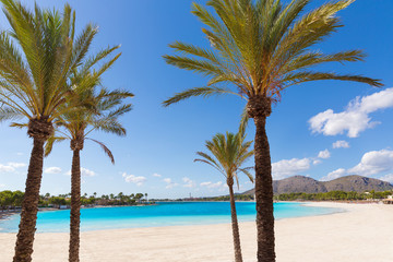 Fototapeta na wymiar Platja de Alcudia beach in Mallorca Majorca