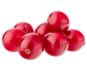 cranberry  isolated on white background cutout
