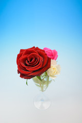 薔薇