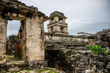 Naklejka premium Palenque Mayan City. Ruins in the Jungle, Chiapas, traveling thr