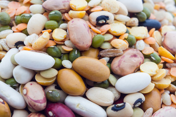 Legumes