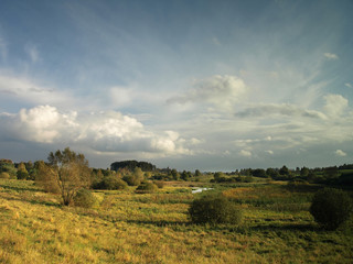 Fototapeta premium Autumn wild landscape