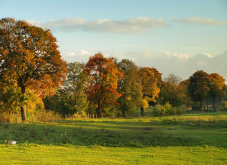 Autumn wild landscape