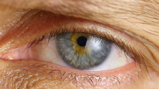 Extreme Close Up Human Eye Iris In 4K UHD Video.