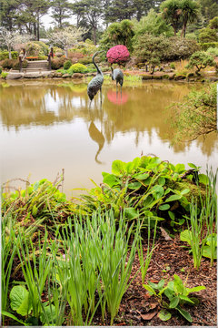 Garden portrait