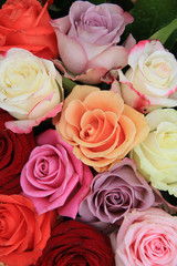 Mixed bridal roses