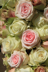 Obraz na płótnie Canvas White and Pink roses in wedding arrangement