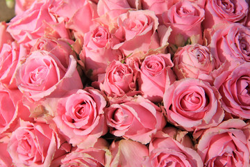 Obraz na płótnie Canvas Pink roses in bridal bouquet