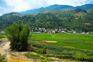 Rice fields on terraced of Mu Cang Chai, YenBai, Vietnam