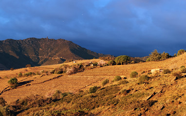 Montagne des pyrénées orientales