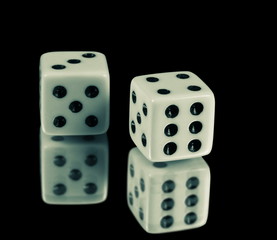 the dice