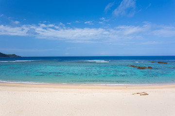 Fototapeta na wymiar 沖縄ヤンバルの自然ビーチ
