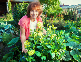 Woman in the garden cares for flowers