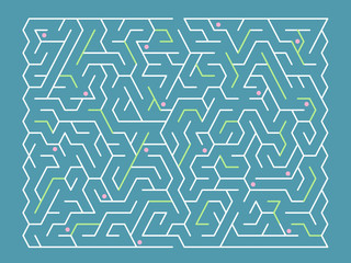 fashionable rectangular labyrinth