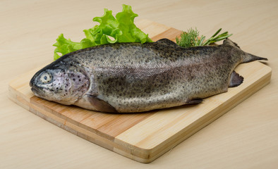 Raw fresh trout