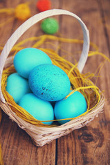 blue eggs in the basket, tinted