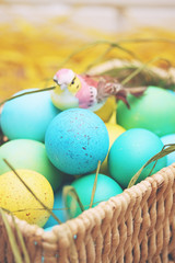 basket of colored eggs