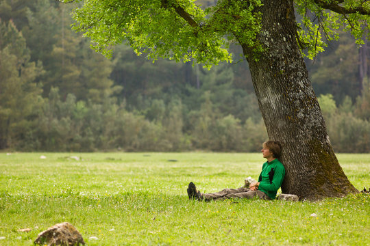 man sitting under big tree on a green meadow