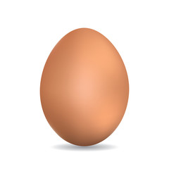 Egg realistic orange on a white background.