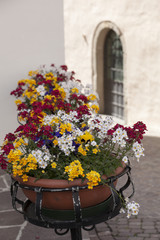 Angolo fiorito, Castelrotto, Trentino