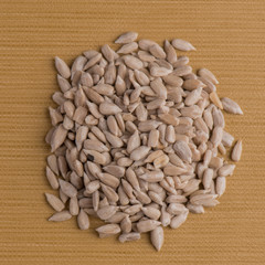 Circle of shelled sunflower seeds