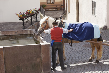 Cavallo e cavaliere, Castelrotto, Trentino