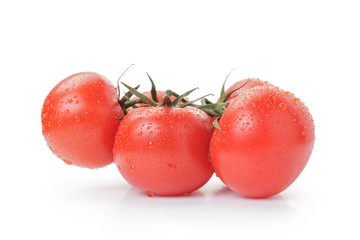 ripe wet red tomatoes with branch isolated