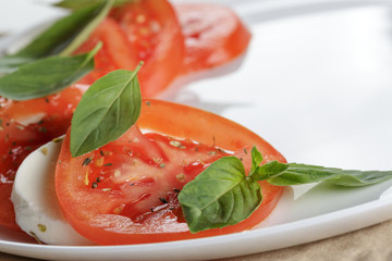 classic caprese salad on plate close up