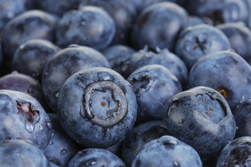 fresh washed wet blueberries