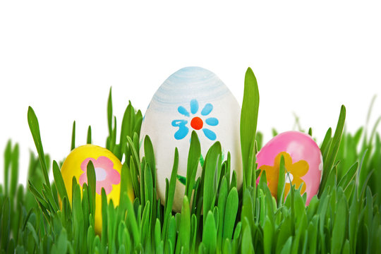 Colorful Easter eggs in grass isolated on white