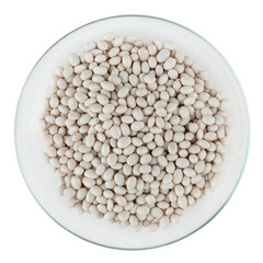 White beans isolated on white background with clipping path