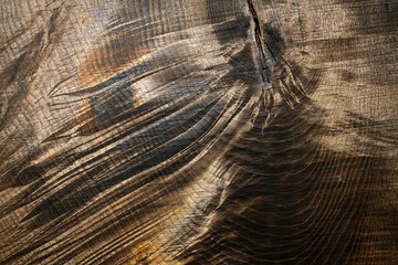 Fototapeta premium wooden background