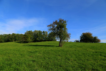 Campagne