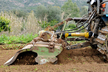 works from the vegetable garden