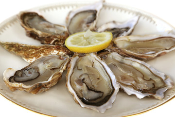 Huîtres