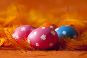 Colored Easter eggs on orange background
