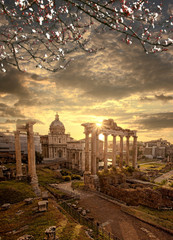 Panele Szklane Podświetlane  Rzymskie ruiny z kwitnącym drzewem w Rzymie, stolicy Włoch