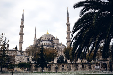 Fototapeta na wymiar Blue Mosque, Istanbul, Turkey