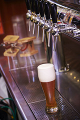 Draught Beer
