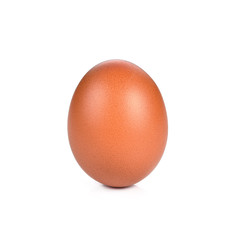 Egg isolated with white on background