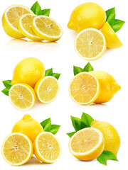 set of lemons isolated on the white background