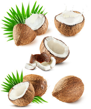 set of coconuts isolated on the white background